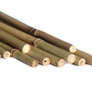 Tyczki Bambusowe