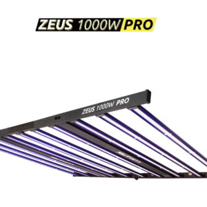 LAMPA LED ZEUS PRO (1000W)(170x122x48cm)