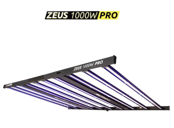 LAMPA LED ZEUS PRO (1000W)(170x122x48cm)