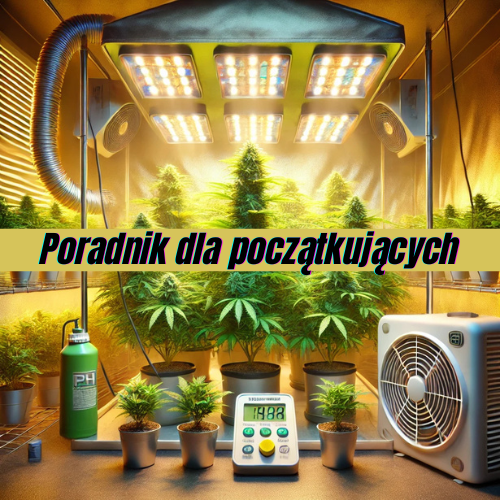 Jak zacząć uprawę indoor? Kompletny przewodnik dla początkujących