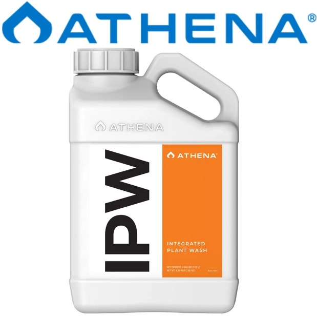 Athena IPW