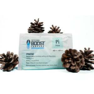 Integra Boost – Terpene Essentials Pinene 62% RH regulator wilgotności z terpenami (67 g, na ok. 453 g suszu)