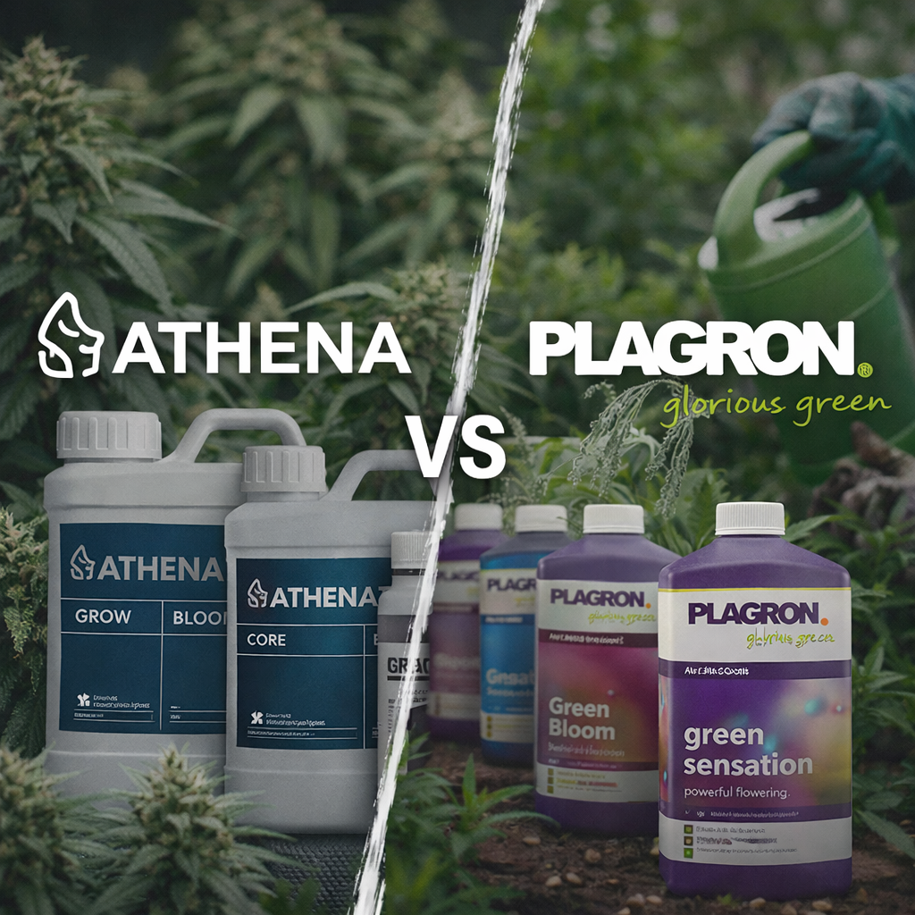 Athena vs Plagron – porównanie nawozów do uprawy (2025)