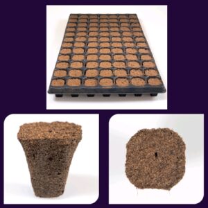 Plagron NextGen Growplug - Profesjonalna taca z kostkami do wysiewu (84 szt.)