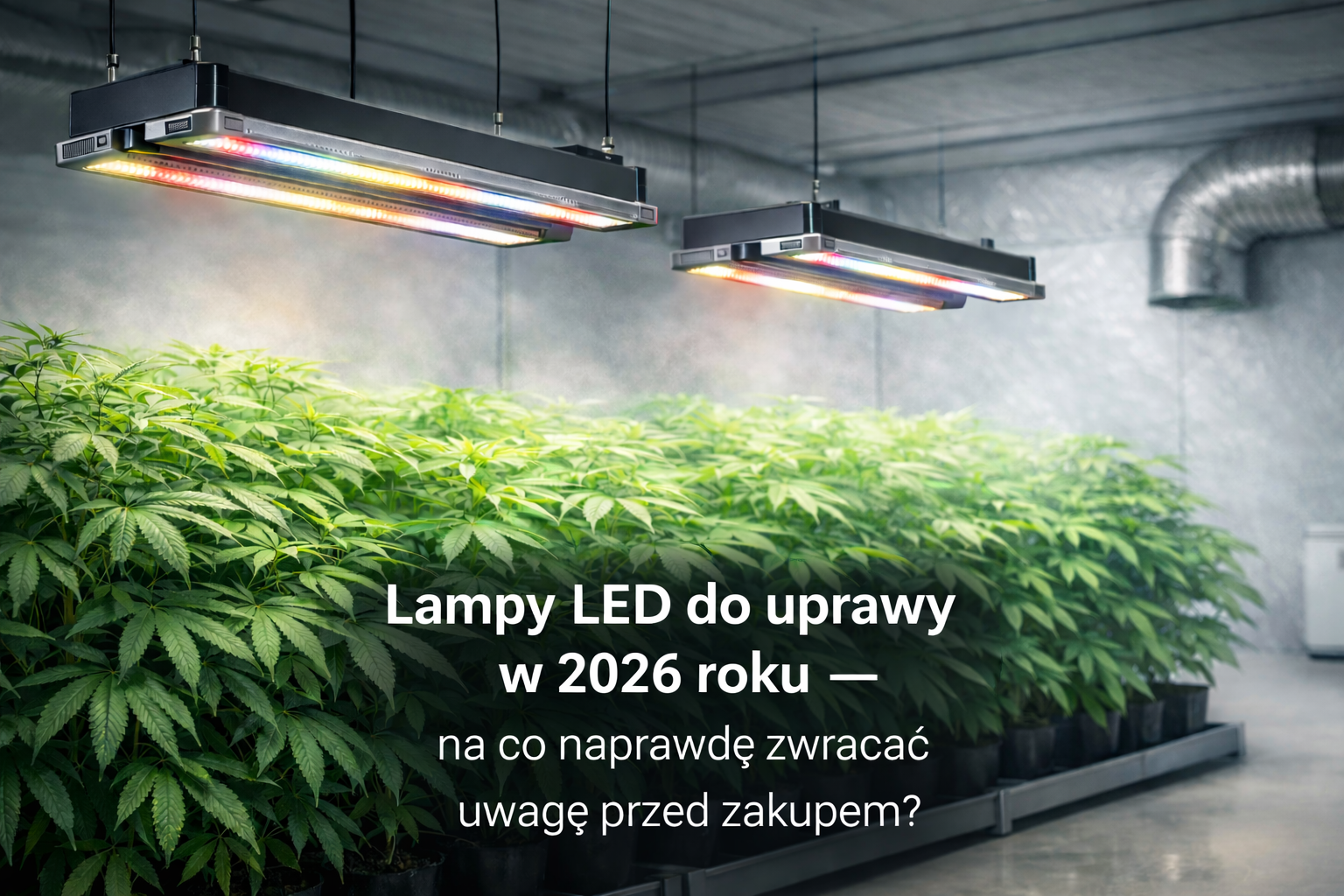 Lampy LED do uprawy w 2026 roku – na co naprawdę zwracać uwagę przed zakupem