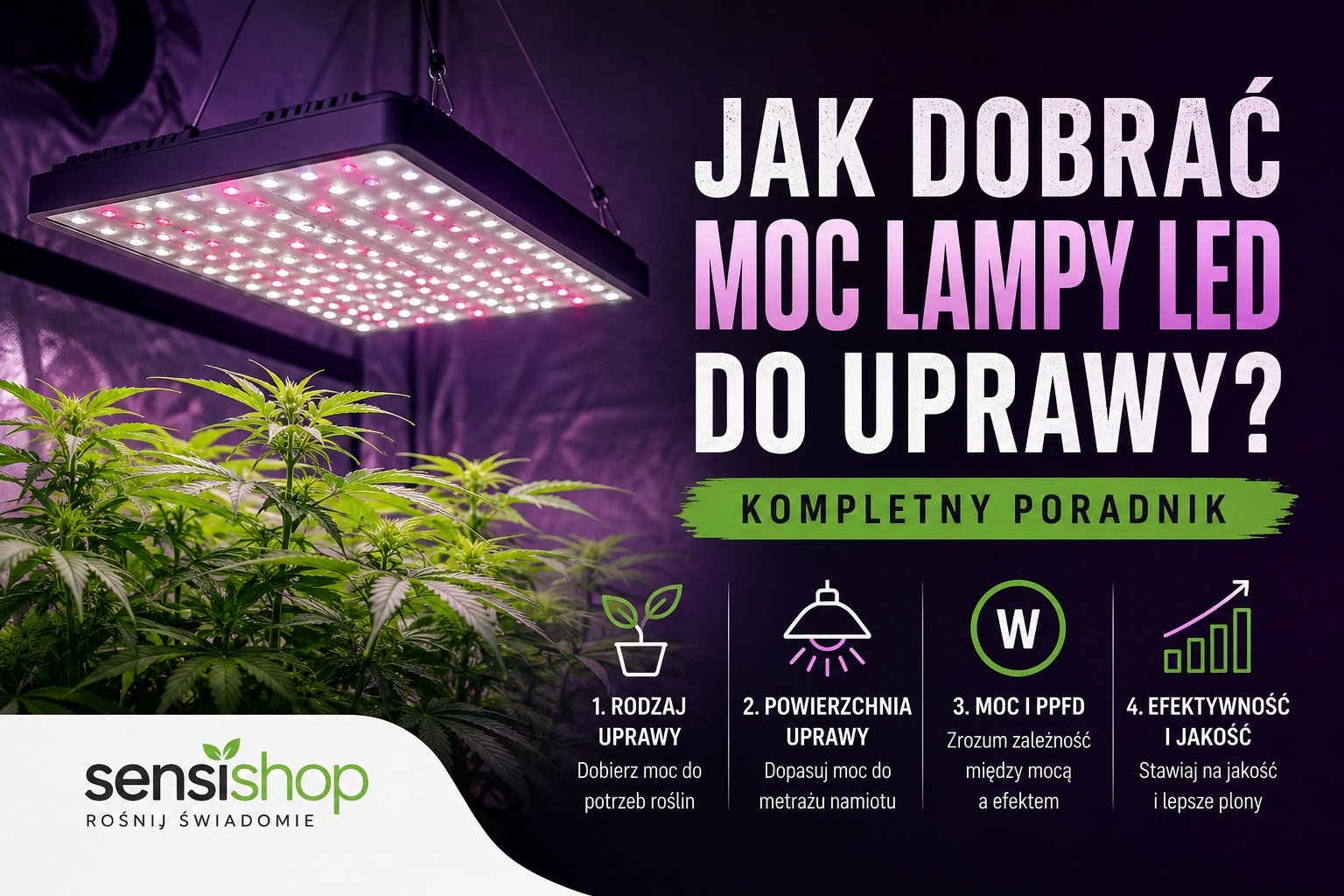 Jak dobrać moc lampy LED do uprawy? Kompletny poradnik