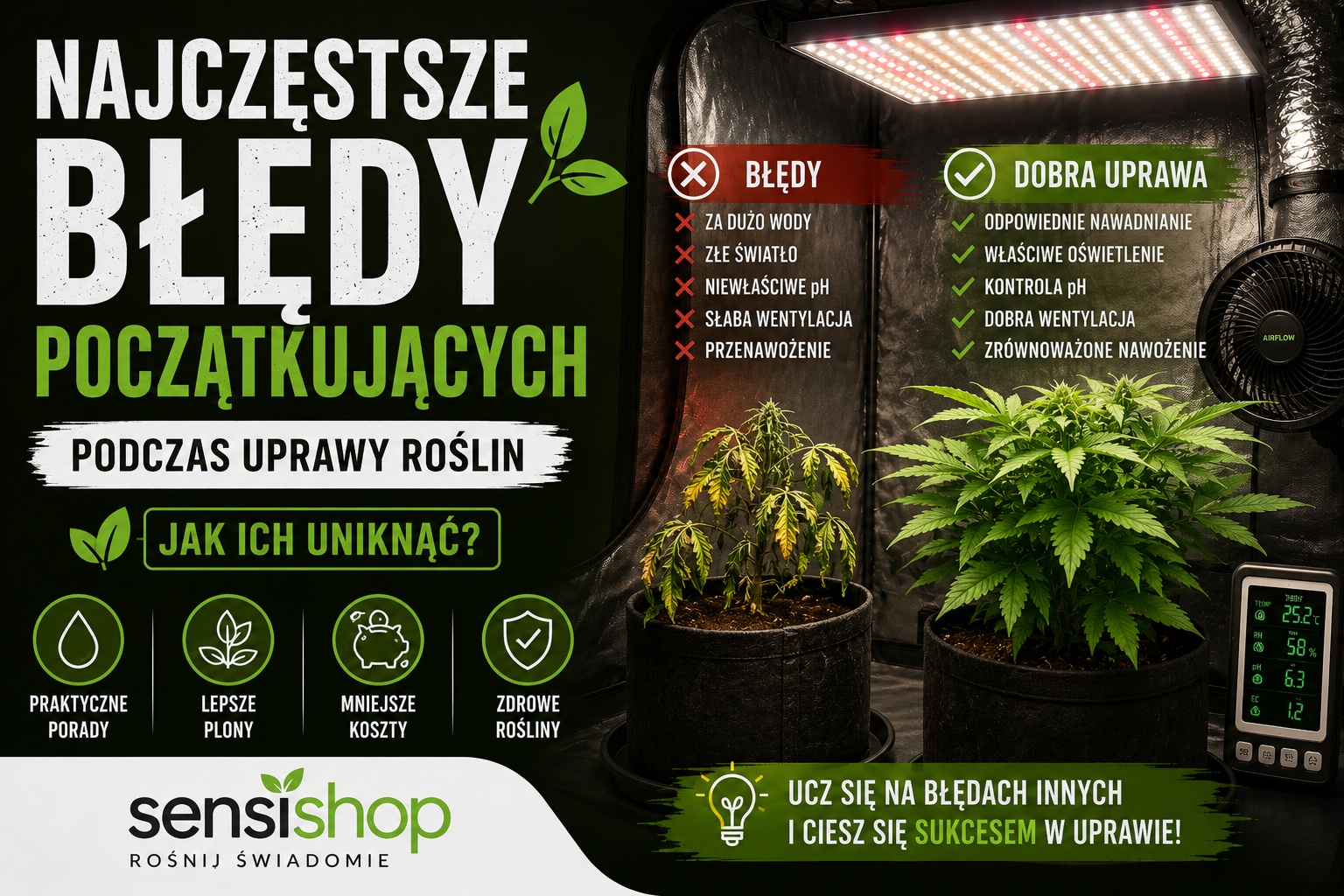 Najczęstsze błędy początkujących podczas uprawy | Sensishop