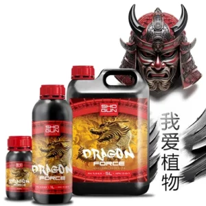 Shogun - Dragon Force