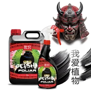 Shogun - Geisha Foliar