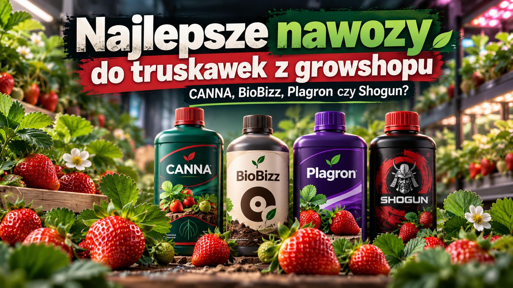 Najlepsze nawozy do truskawek z growshopu. CANNA, BioBizz, Plagron czy Shogun?